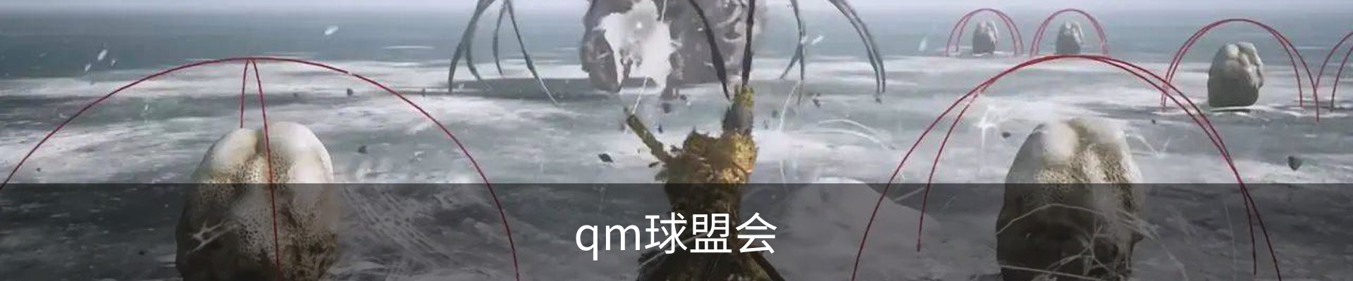 qm球盟会